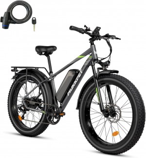 Electric Bikes