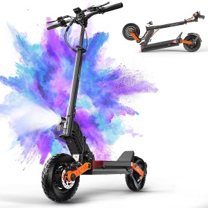 Electric Scooters