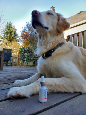 Relief Brand Releases Two Varieties of Anti-anxiety Pet Drops to Support The Animal Welfare Institut