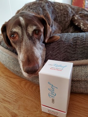 Relief Brand Releases Two Varieties of Anti-anxiety Pet Drops to Support The Animal Welfare Institut