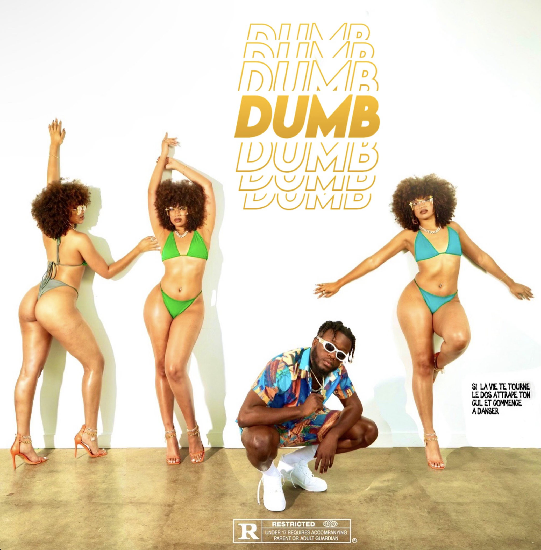 DUMB Cover