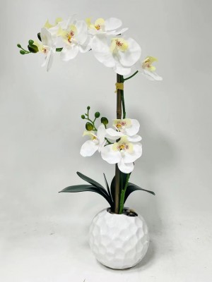 Jahan Home Brings Out A Revolution in Home Décor With Its Range of Creatively Crafted Products