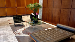 Cantrell Astbury Kranz, P.A.: A Beacon of Employment and Business Law Expertise in Tampa