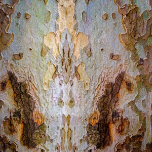 In the Clouds (series) Copyright Francoise Issaly