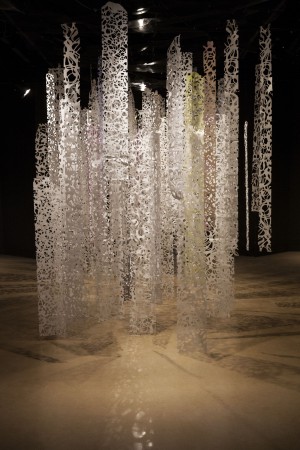 My Life is an Abstraction (series) Copyright Francoise Issaly