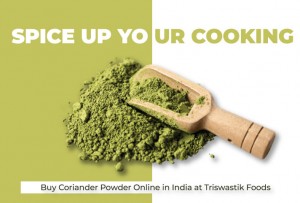 Triswastik Foods: Elevating Indian Culinary Excellence Online
