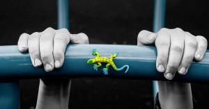 Know What is ASD Disorder with Lizard Centre