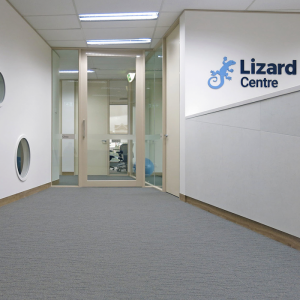Know What is ASD Disorder with Lizard Centre