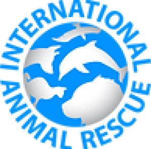 International Animal Rescue