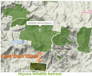 Killabakh Nature Reserve