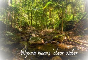 Wyuna means clear water