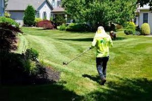 Landscaping Maintenance