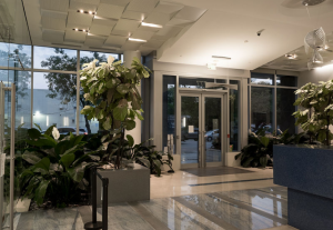 Law Firm In Miami Florida