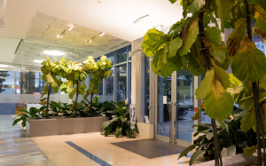 Miami Employment Lawyers