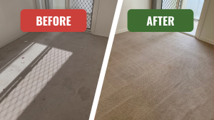 Carpet Before After Image