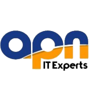APN IT Experts Logo