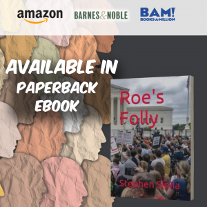 Introducing Roe's Folly by Stephen Sipila