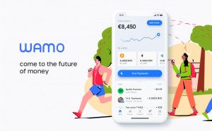 wamo hybrid money app