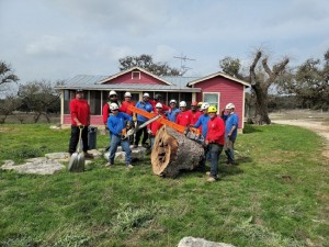 s a total tree service team