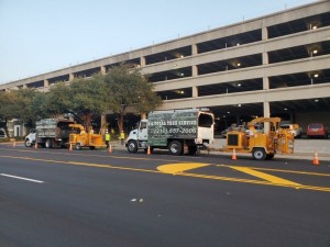 Top Rated Commercial TreeService SanAntonio, TX