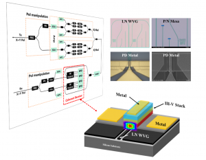 Figure 1 | Schematic plot of the heterogeneous integrated photodiodes on TFLN Platform.