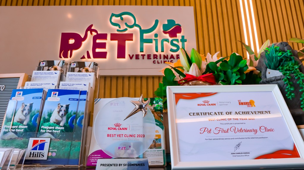 Pet First Veterinary Clinic The New Gold Standard in Dubai's