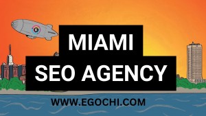 Miami Free SEO Consultation