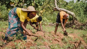 countryside people working field