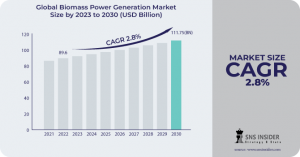 Biomass Power Generation Market