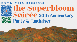 BAYS Announces 2023 Healthcare Hero Award Recipient Dr. Hope S. Rugo