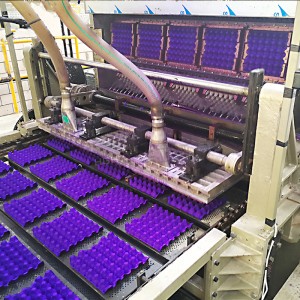 3egg carton machine selling point3