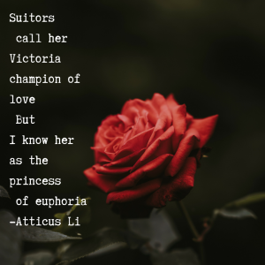 Atticus Li: The Enigma of Poetry and Meditation