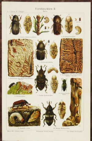 poster choice smaller size