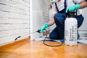 Pest Control services