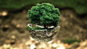 CIRCULAR ECONOMY = WINNING STRATEGY