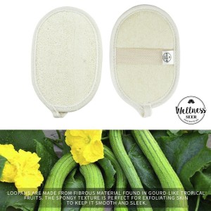 Refresh, Relax and Revive the Soul with Wellness Seer