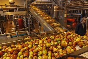 India Food Processing Market