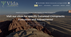 Vida Chiropractic Website