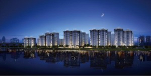 PUYUE HESHAN shined in New York City,25 years, let the world experience the real PUYUE