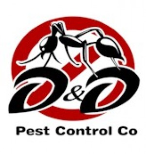 ddpestcontrol logo