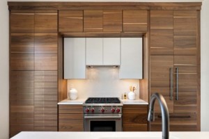 Modern Kitchen Cabinets