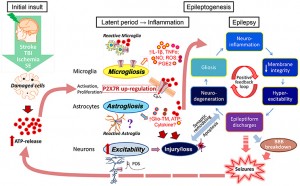 P2X7 Receptor Antagonists Market