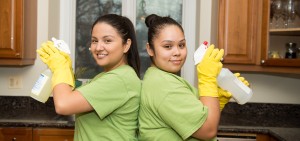 Fresh Tech Maid Offers A Comprehensive Guide to Plan a Stress-Free Thanksgiving (Without Leaving Your House)