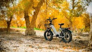 Magicycle Electric Bikes for Adults - Ocelo Pro