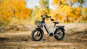 Magicycle Fat Tire Ebike - Ocelo Pro