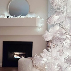 Curitating An Ecosystem