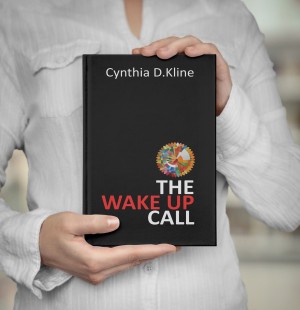 B 0045    available everywhere books are sold