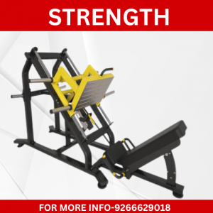 strength gym