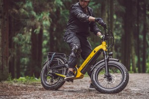 Magicycle Ebike Black Friday