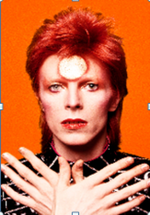 David Bowie 